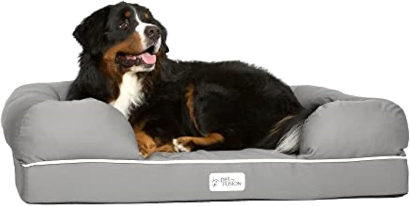 Top 5 Dog Beds for Medium-Sized Dogs: Comfort and Quality for Your Furry Friend